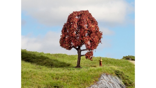 [ NO20151 ] Noch Europese Beuk 10cm 