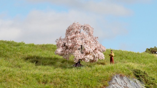 [ NO20147 ] Noch Kersenboom 6cm