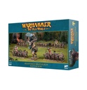 [ GW08-110 ] BEASTMEN BRAYHERDS BATTALION (Leverbaar vanaf 14/6)