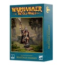 [ GW08-111 ] BEASTMEN BRAYHERDS: BEASTMAN SHAMAN