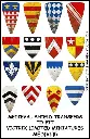 [ VICTRIXMED(VL)5 ] Victrix Medieval Shield Transfers 5
