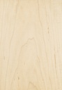 [ FLEXER ] Fineer 0.8mm Ahorn / Erable 20x40 cm