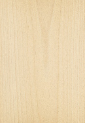 [ FLEXHE ] fineer 0.8 mm beukhout / hêtre 20 x 40 cm