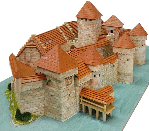 [ A1012 ] Aedes chateau de Chillon 1/190