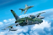 [ HB81742 ] Hobbyboss A-1A     GROUND ATTACK AIRCRAFT       1/48