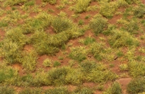 [ JOEFIX117 ] groene graszoden