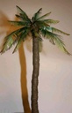 [ JOEFIX181.35 ] palmboomset A (ASIA TYPE)