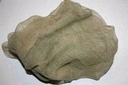 [ JOEFIX722 ] camouflagenet groene kleur 55x55 cm