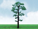 [ JTT92312 ] SCOTS PINE (2stuks) +/-10cm hoog